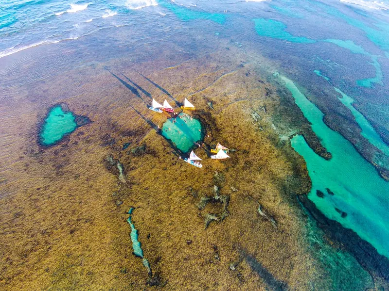 Vista aérea do recife na maré baixa, com jangadas de vela branca paradas em volta de uma piscina natural turquesa